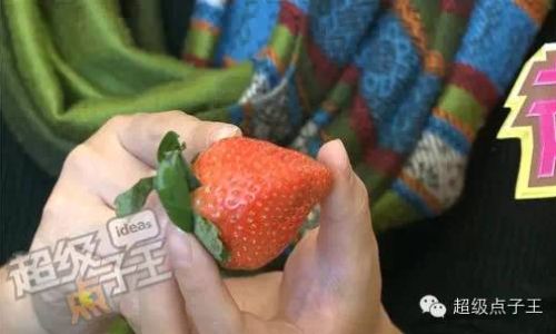 Effective Methods for Storing and Preserving Strawberries to Maximize Freshness and Flavor