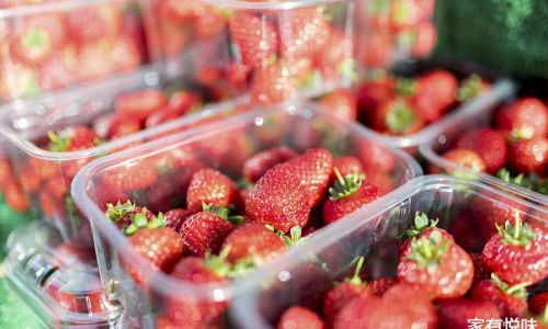 What to Do With Leftover Strawberries:Creative and Practical Solutions