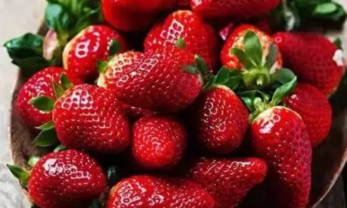 The Ultimate Guide to Preserving Strawberries:Tips and Tricks for Longevity and Flavor