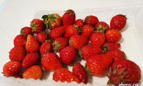 The Ultimate Guide to Preserving Strawberries:Tips and Tricks for Longevity and Flavor
