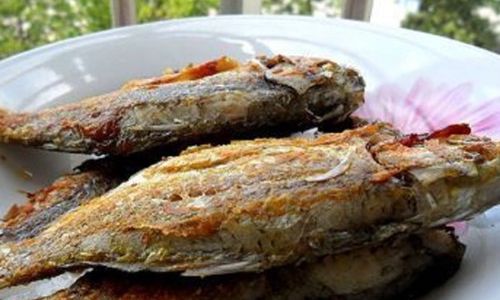 Mastering the Art of Cooking Snakehead Fish:Delicious Recipes and Techniques