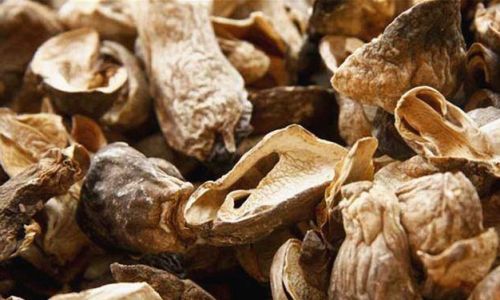 The Ultimate Guide to Safely Storing Straw Mushrooms:Tips,Techniques,and Best Practices