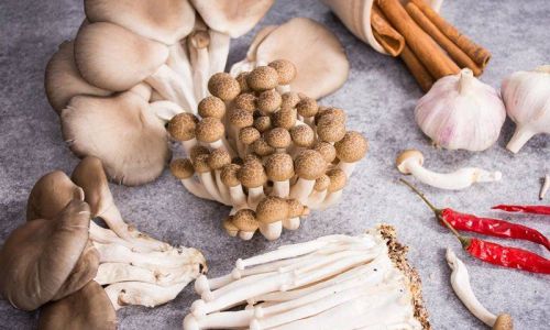 The Ultimate Guide to Safely Storing Straw Mushrooms:Tips,Techniques,and Best Practices