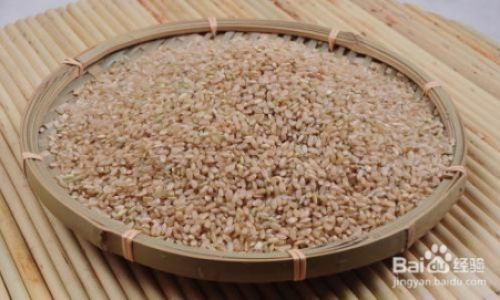 Mastering the Art of Cooking Flavorful Brown Rice:Techniques,Tips,and Creative Recipes