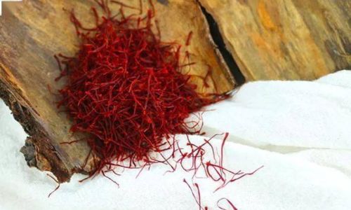 The Golden Elixir:Unveiling the Remarkable Health Benefits and Medicinal Properties of Saffron