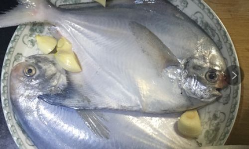 Mastering the Art of Cooking Pomfret:A Comprehensive Guide to Delicious and Healthy Recipes