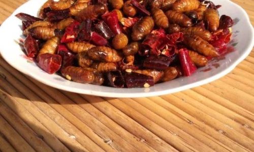 Can You Eat the Black Substance Inside Silkworm Pupae?A Comprehensive Guide