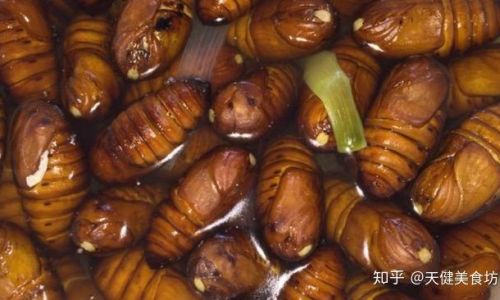 Delicious and Simple Silkworm Pupa Recipes:A Guide to Culinary Delight