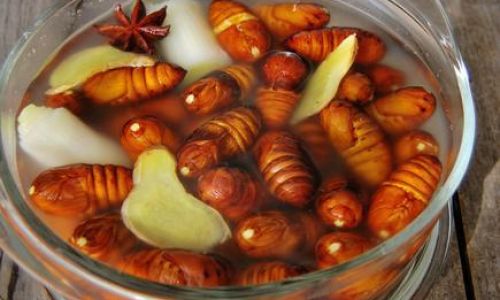 Delicious and Simple Silkworm Pupa Recipes:A Guide to Culinary Delight