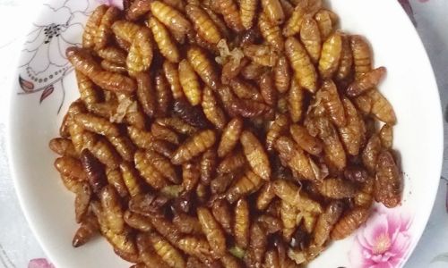 Delicious and Simple Silkworm Pupa Recipes:A Guide to Culinary Delight