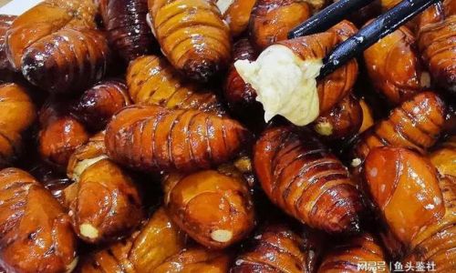A Comprehensive Guide to Raising Silkworm Pupae:From Eggs to Cocoon Harvesting