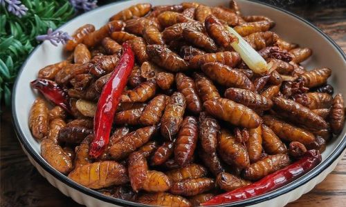Mastering the Art of Cooking Silkworm Pupae:A Guide to Delicious and Crispy Delights