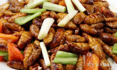 Mastering the Art of Cooking Silkworm Pupae:A Guide to Delicious and Crispy Delights