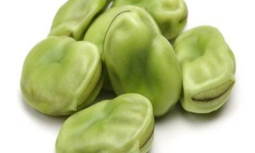 Exploring the Diverse World of Fava Bean Products:From Culinary Delights to Nutritional Powerhouses