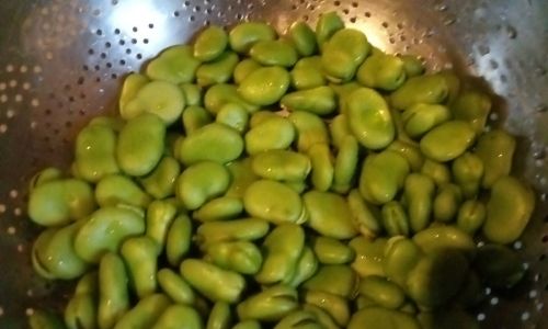 Mastering the Art of Cooking Fava Beans:Techniques for Tender and Flavorful Results