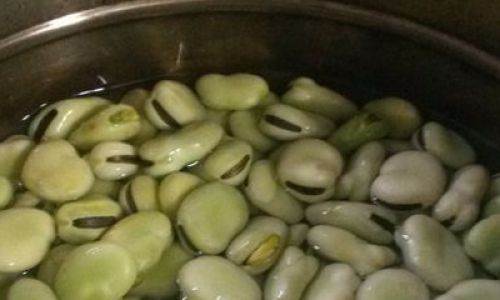 How to Keep Fava Beans Fresh:Expert Tips for Storage and Longevity