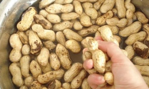 Mastering the Art of Soaking Fava Beans:Optimal Durations and Cooking Techniques