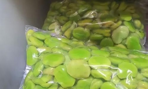 How to Keep Fava Beans Fresh in the Refrigerator:A Comprehensive Guide to Storage and Preservation