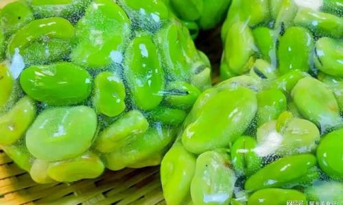 How to Keep Fava Beans Fresh in the Refrigerator:A Comprehensive Guide to Storage and Preservation