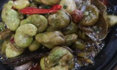 Mastering the Art of Broad Bean Stew:A Guide to Crafting the Perfect Dish