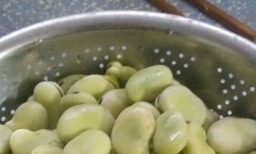 Proven Methods to Extend the Shelf Life of Fava Beans:A Comprehensive Guide