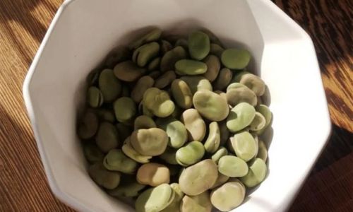 Proven Methods to Extend the Shelf Life of Fava Beans:A Comprehensive Guide