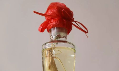 Optimizing Ginseng Infusion:Determining the Ideal Soaking Time for Alcoholic Tinctures