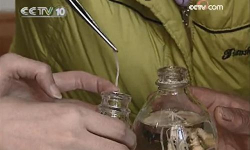 Optimizing Ginseng Infusion:Determining the Ideal Soaking Time for Alcoholic Tinctures