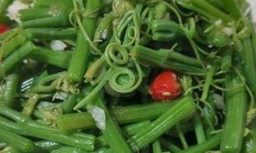 Exploring the Versatility of Rapeseed Sprouts:Creative Ways to Incorporate Them into Your Diet