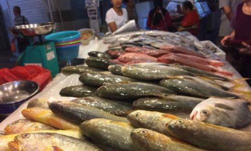 The Aquatic Bounty:Exploring Common Fish Varieties Found in Wet Markets