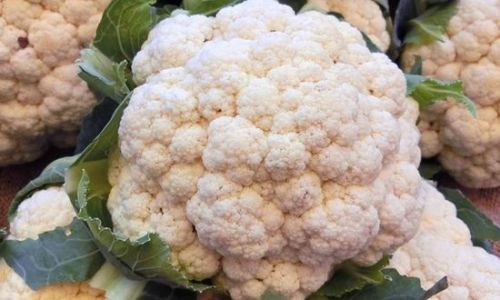 Mastering the Art of Cooking Cauliflower:Delicious and Nutritious Recipes for Every Palate