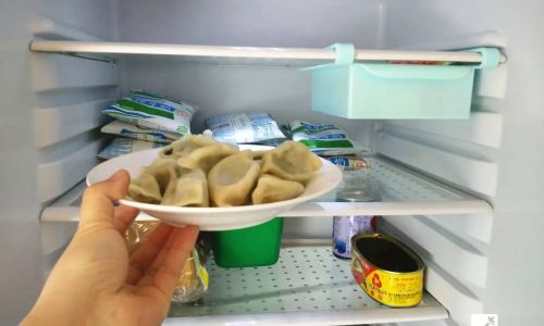 The Great Debate:Should You Refrigerate Hot Food or Let It Cool First?