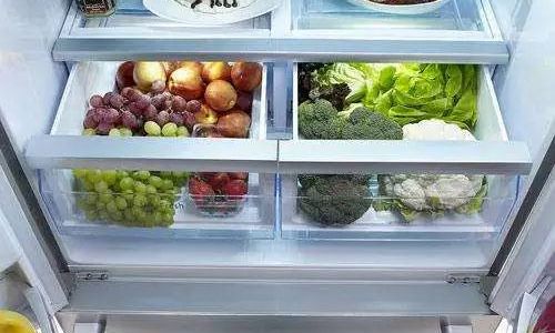 Can Vegetables Be Stored in the Refrigerator?A Comprehensive Guide to Optimal Freshness and Safety