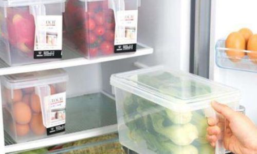 Can Vegetables Be Stored in the Refrigerator?A Comprehensive Guide to Optimal Freshness and Safety