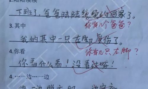 Mastering the Use of 才 in Chinese:A Comprehensive Guide to Sentence Construction