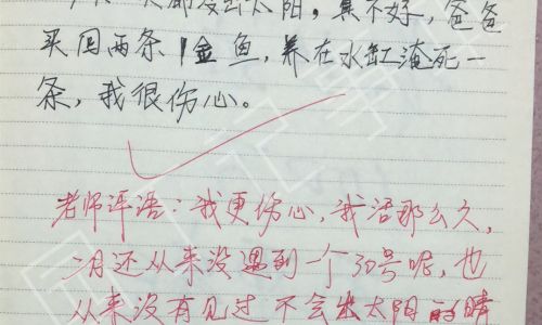 Mastering the Use of 才 in Chinese:A Comprehensive Guide to Sentence Construction
