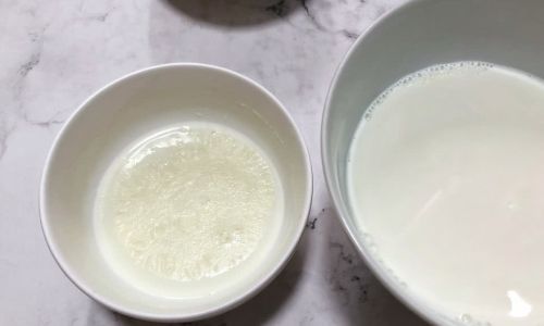 Can You Make Double Skin Milk Pudding Without Dairy Milk?Exploring Plant-Based Alternatives