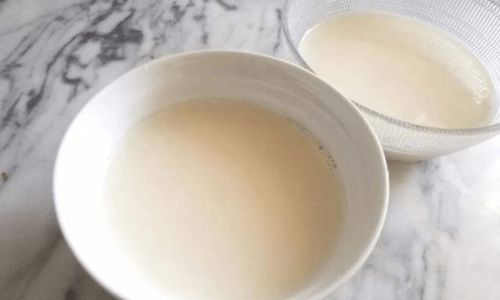 Can You Make Double Skin Milk Pudding Without Dairy Milk?Exploring Plant-Based Alternatives