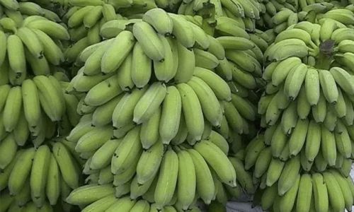 How to Ripen an Unripe Pineapple:A Comprehensive Guide to Achieving Sweet,Juicy Perfection