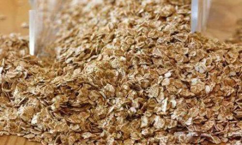Exploring Starch-Free Staple Foods:A Guide to Nutritious and Low-Carb Alternatives