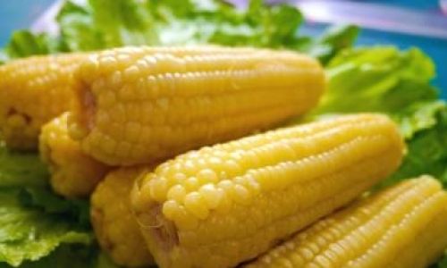 How Long to Steam Corn Without Water:A Comprehensive Guide to Perfectly Cooked Kernels
