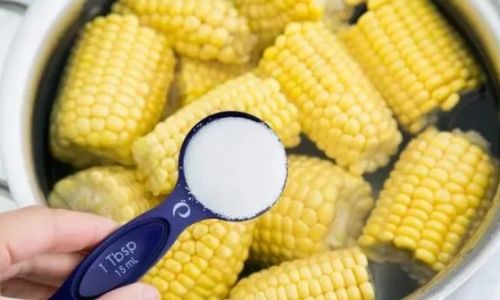 How Long to Steam Corn Without Water:A Comprehensive Guide to Perfectly Cooked Kernels