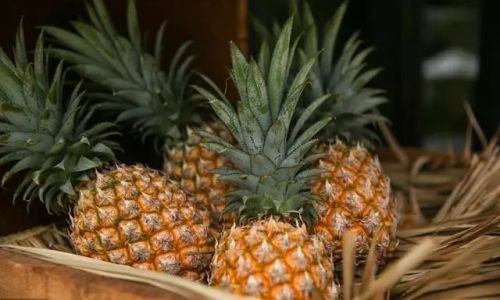 Maximizing Shelf Life:Expert Tips for Storing Pineapples to Last Longer