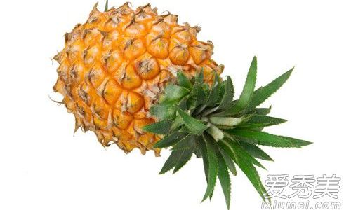 The Optimal Soaking Time for Pineapple:Enhancing Flavor,Texture,and Digestibility