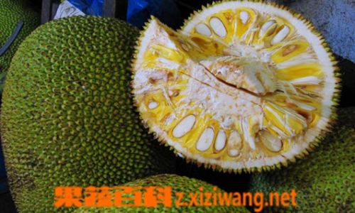 The Ultimate Guide to Ripening Jackfruit Overnight:Fast and Effective Methods