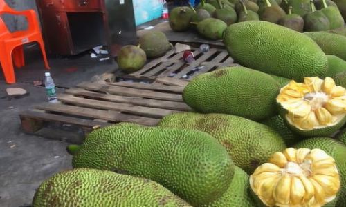 The Ripening Journey of Jackfruit:How Long Does It Take to Mature After Harvest?