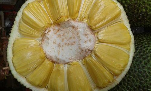 Understanding the Ideal Serving Size of Jackfruit:A Comprehensive Guide to Healthy Consumption