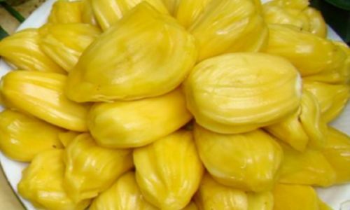Understanding the Ideal Serving Size of Jackfruit:A Comprehensive Guide to Healthy Consumption