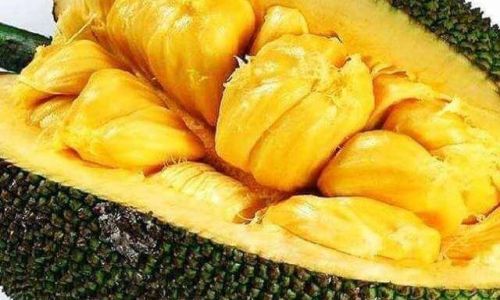 Understanding the Ideal Serving Size of Jackfruit:A Comprehensive Guide to Healthy Consumption