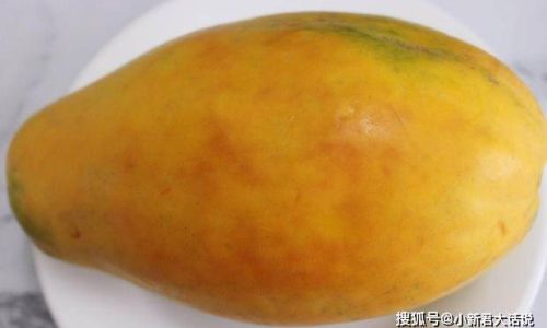 The Great Jackfruit Debate:Choosing Between Elongated and Round Varieties